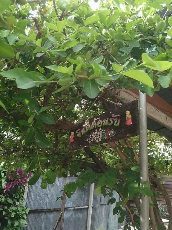 Patchaya Guesthouse 암파와 외부 사진
